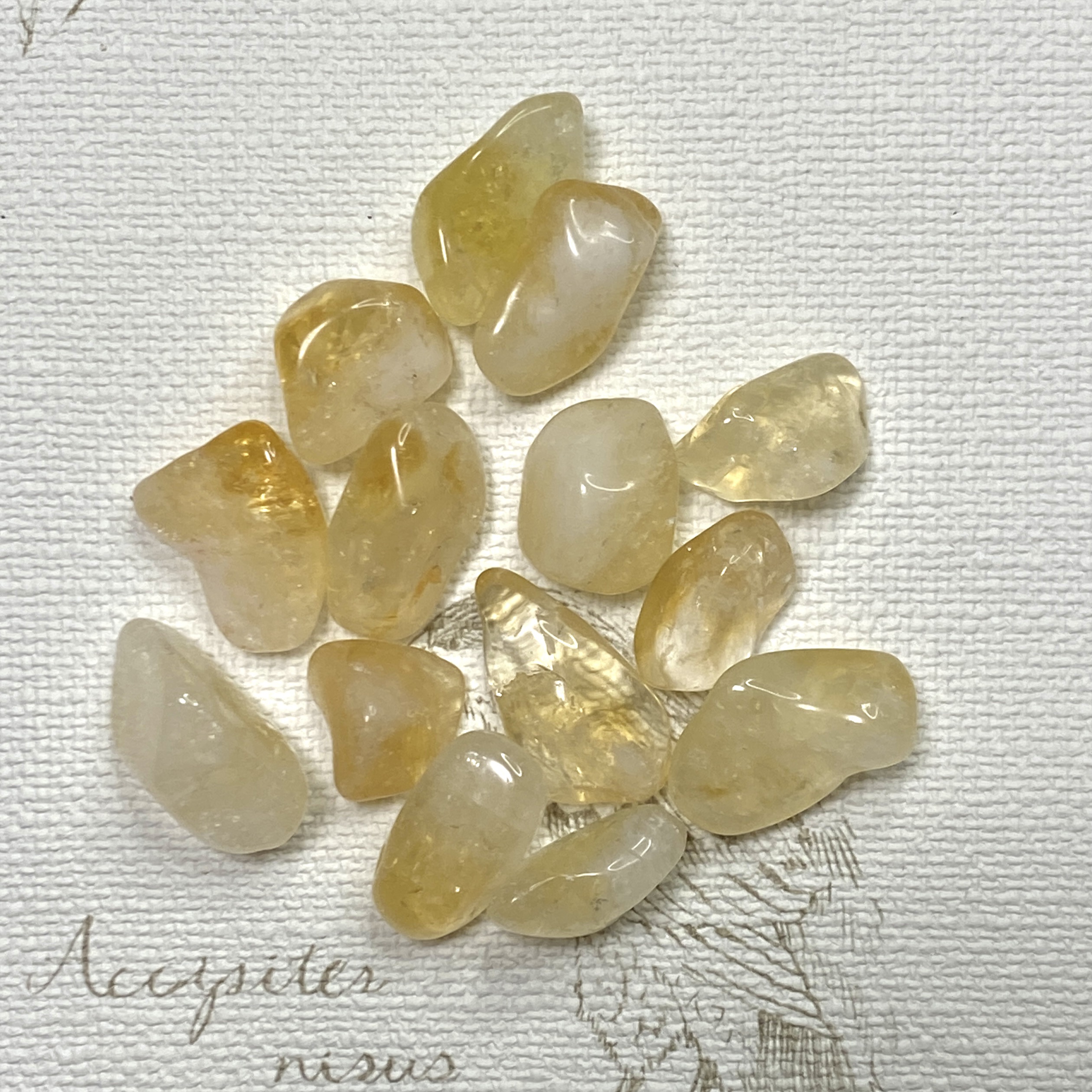 596華奢なシトリンタンブル シトリン タンブル - Cosmic Light Crystals